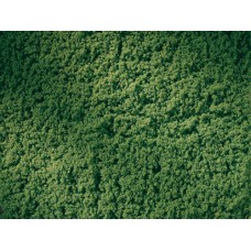 AU76669 Lawn roll foliage green